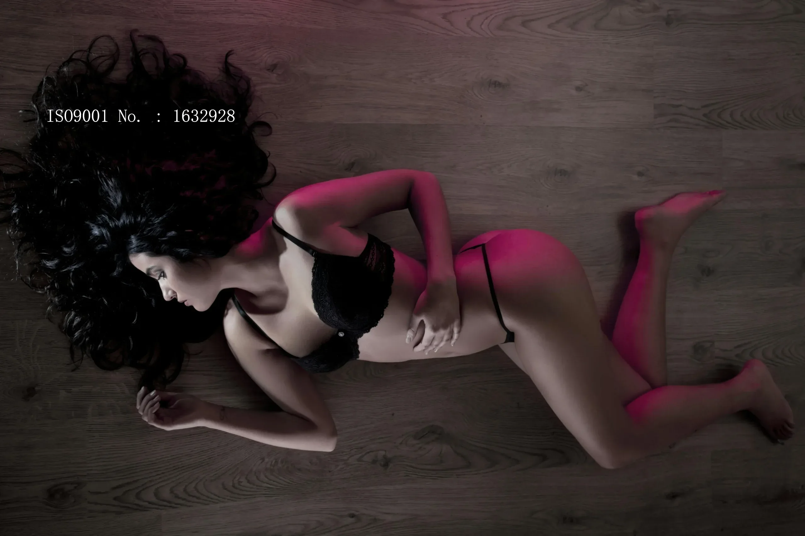 Model with ISO9001